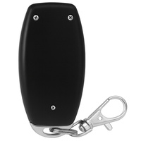 Pilot do radiolinii - 1 kanał