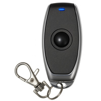 Pilot do radiolinii - 1 kanał